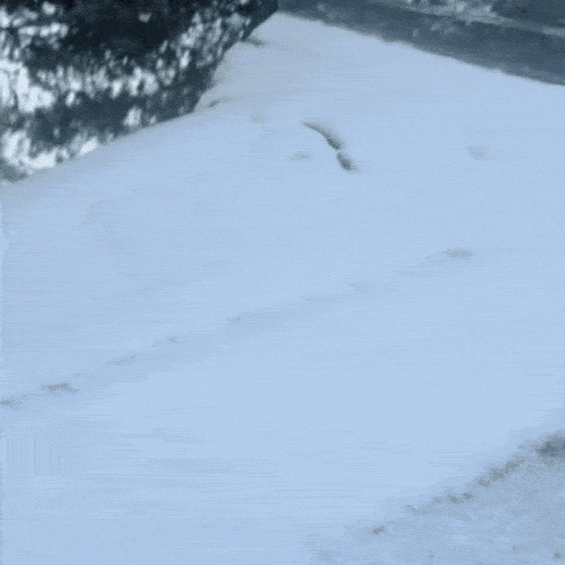 The Original Jet Blower™